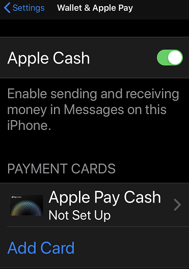 apple pay screenshot 2