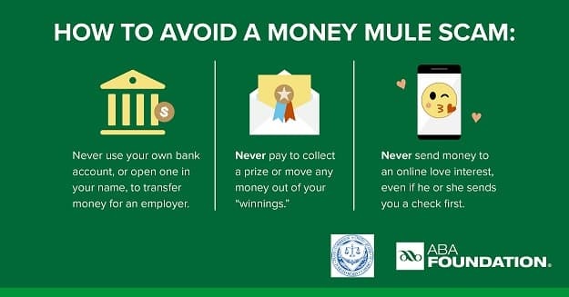 Infographic regarding how to avoid a money mule scam