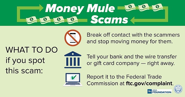 Money mule scams infographic