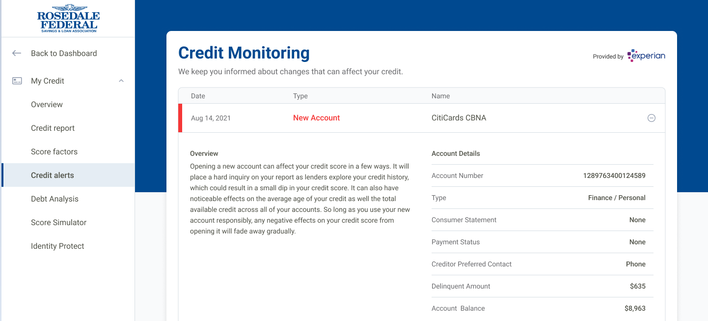 Screenshot of credit alerts in my credit manager