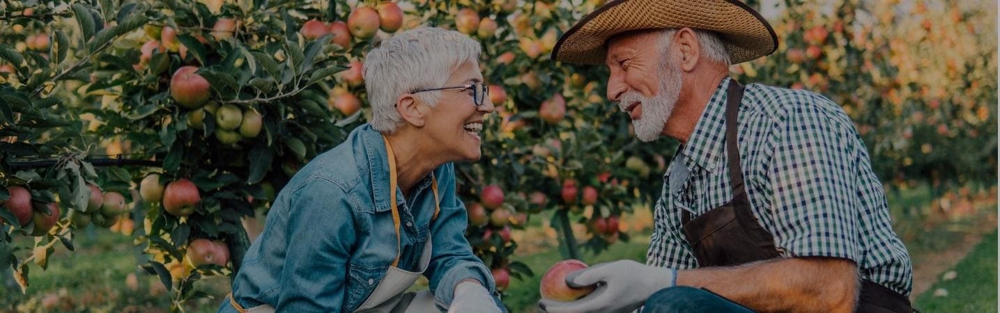 Happy mature couple picking apples