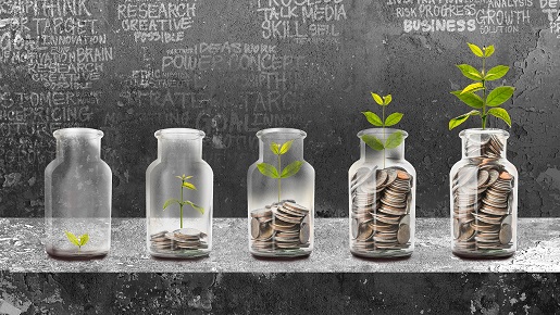 concept of saving money with a plant growing along with money